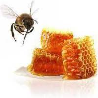 پاورپوینت پرورش و نگهداری زنبور عسل